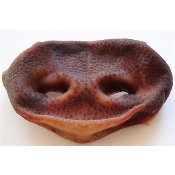 犬用おやつ 無添加 手作り 豚の鼻2個 国産 安全 ドッグフード Buyee Buyee 日本の通販商品 オークションの代理入札 代理購入