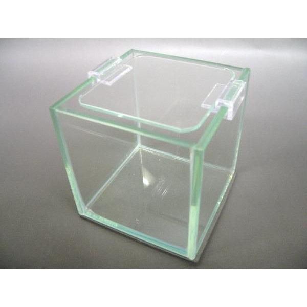 小型ガラス水槽 15cm キューブ水槽
