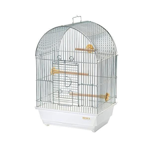 HOEI z[GC 101A[` ̂f zCg  o[hP[W   ZLZCCR