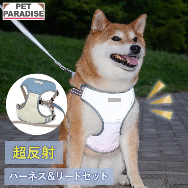 ハーネスリード 超反射 ハーネス&リード 反射 事故防止 おでかけ お出かけ お散歩 おさんぽ
