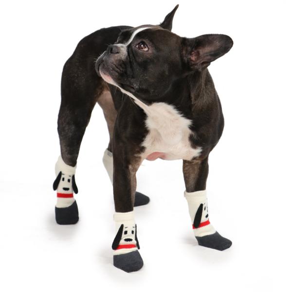  C C ~ ^ krll Xk[s[ uh   \bNX 킢 | ҏ΍ tBbgV[Y