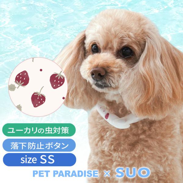 ■素材外　側：TPU（耐熱温度 -70〜-60℃/60?80℃自己消火性）内容物： Temperature Control / Ingredient（温度制御成分PCM）/ 香料（ユーカリオイル）★HOTキーワード★小型犬 ボタン付き ボタ...