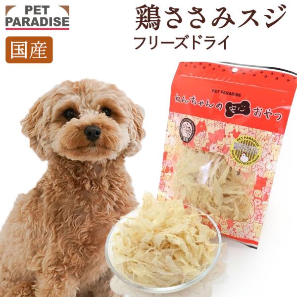 pet-para_16687728