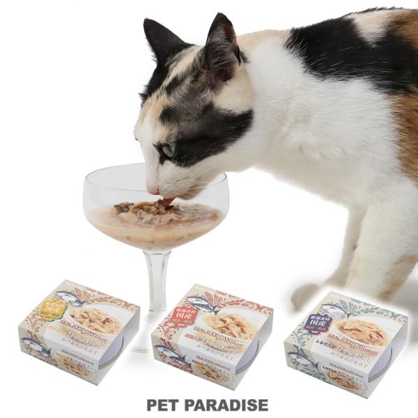 pet-para_2120004