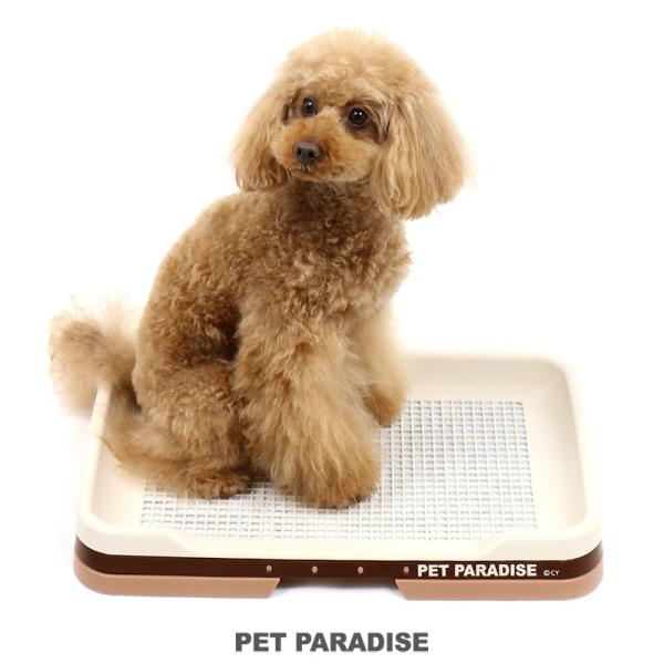 ybg gC bVJo[ M[V[c ɉꂪ܂ɂ ybgg[  | Qv`x gC g[