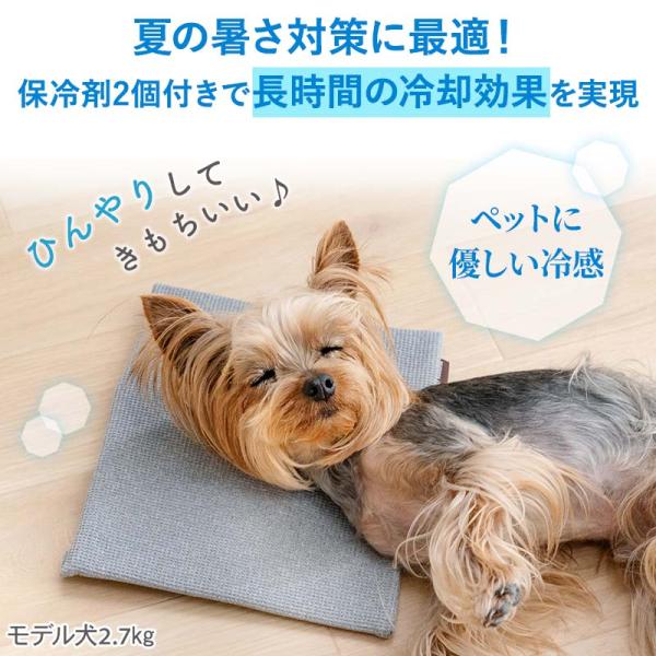 �yP10�{�z�� �y�b�g �R���p�N�g�N�[���[ �ۗ�� �N�[�� | �}�b�g �⊴ ������ �W�F�� �L �⊴ �� �����΍� �􂦂� ���i�摜1