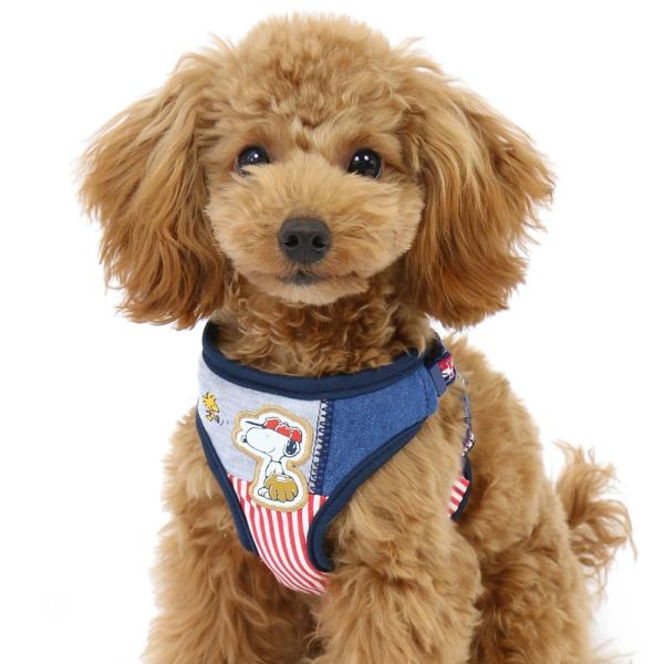 犬用 ハーネス リード 3sの人気商品 通販 価格比較 価格 Com