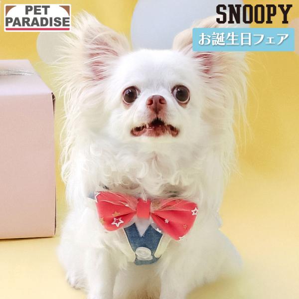 爆買SALE スヌーピー 犬 ハーネス バースデー ベストハーネス 小型犬 ＳＳ | 反射 安全 安心 事故防止 アニバーサリー お誕生日 セール 返品不可