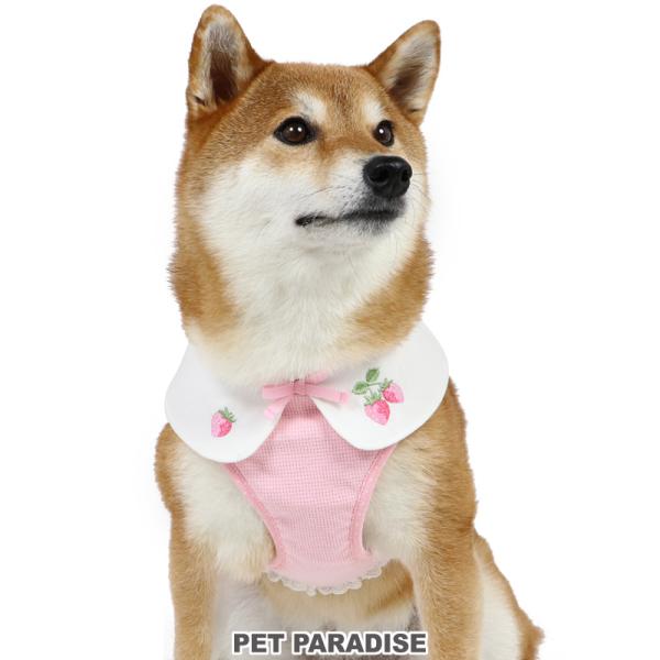 PET PARADISE（ペットパラダイス） ハーネス 犬 服 おしゃれ ブランド