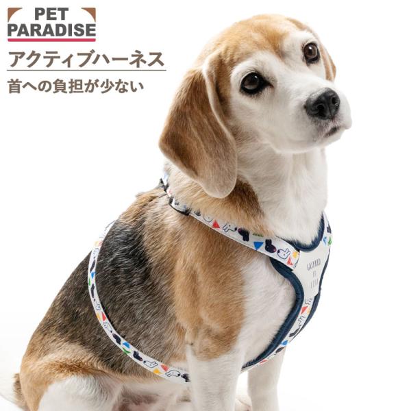 pet-para_408-28477