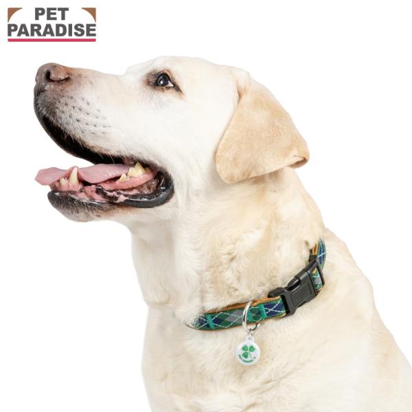 PET PARADISE（ペットパラダイス） 犬 首輪 チェック柄 首輪 大型犬 M