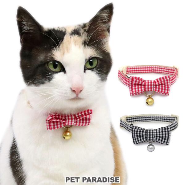 pet-para_43023998