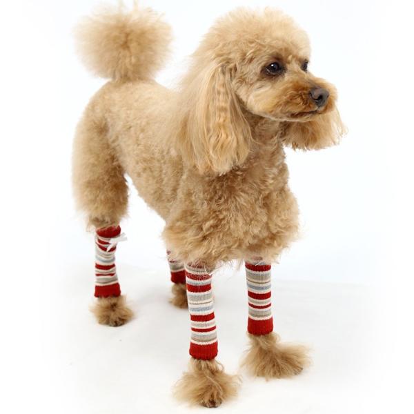 ペット 犬 レッグウォーマー レッグガード セール おしゃれ 小型犬 犬用 汚れ防止 サポーター 犬用品 メール便可 返品不可 Buyee Buyee 提供一站式最全面最專業現地yahoo Japan拍賣代bid代拍代購服務 Bot Online