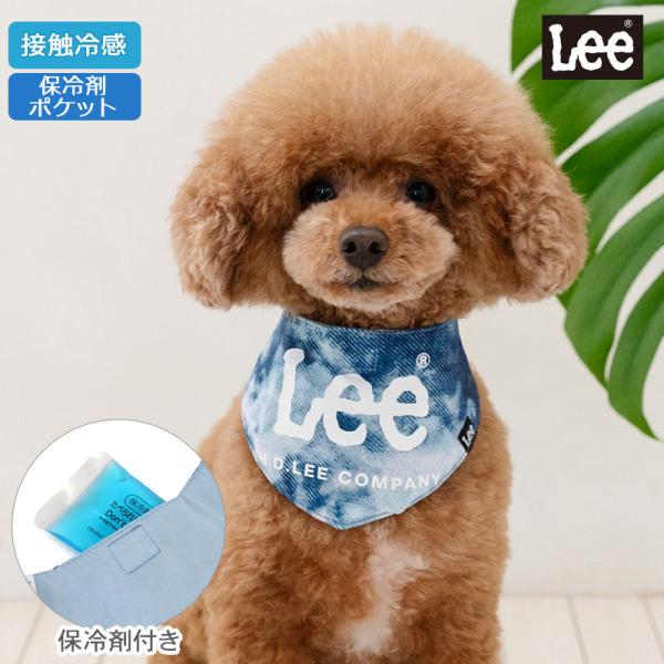 ●犬服●ハンドメイド 胴48  NO.540 ほちちちゃん♡ ハンドメイド 犬服 犬の服