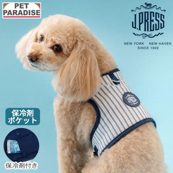 J.PRESS（J.プレス） ポイント5倍 犬 ハーネス リード クール