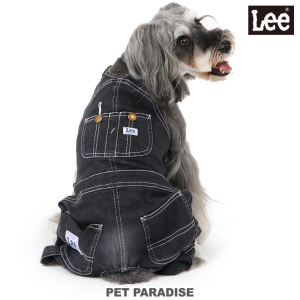 pet-para_56614734