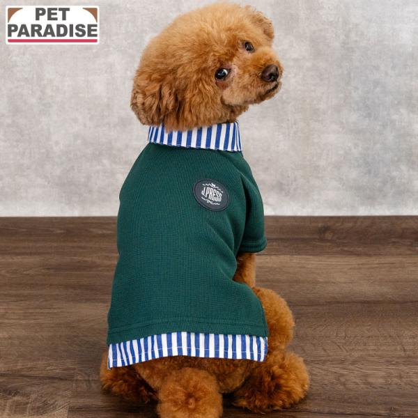 J.PRESS（J.プレス） 爆買SALE J.PRESS 犬 服 秋 フライス ポロシャツ
