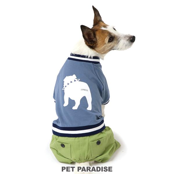 J.PRESS（J.プレス） 犬 服 春夏 パンツつなぎ 小型犬 バックブル | 猫