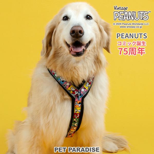 SNOOPY（スヌーピー） 75周年 犬 アクティブ ハーネス 反射 大型犬 L