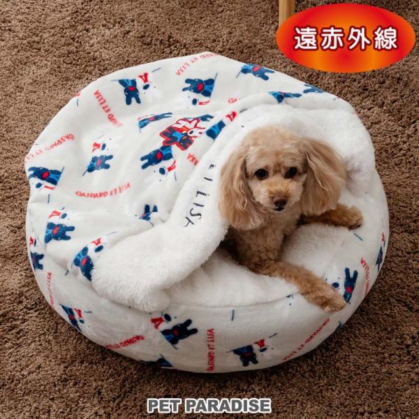 pet-para_633-28151