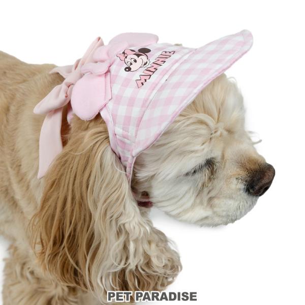 pet-para_633-34207