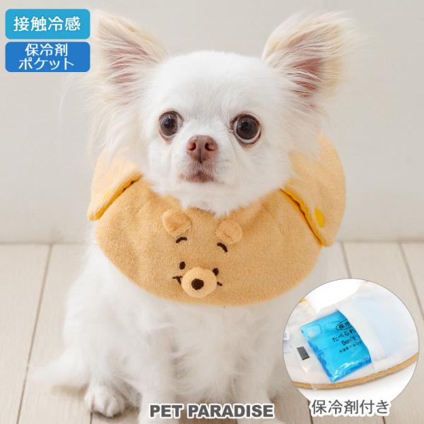 pet-para_633-34328