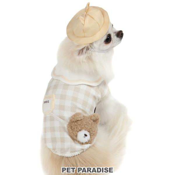 pet-para_633-35035