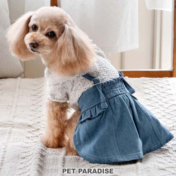 新品PET PARADISE ワンピース　スカート　犬服 Sサイズ　小型犬　夏用 PET PARADISE（ペットパラダイス） 犬 服 春 レース 襟 スカート