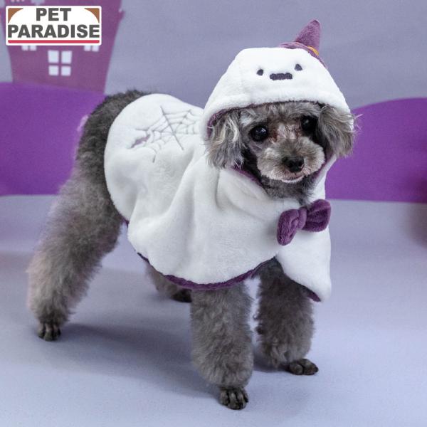 pet-para_633-41001