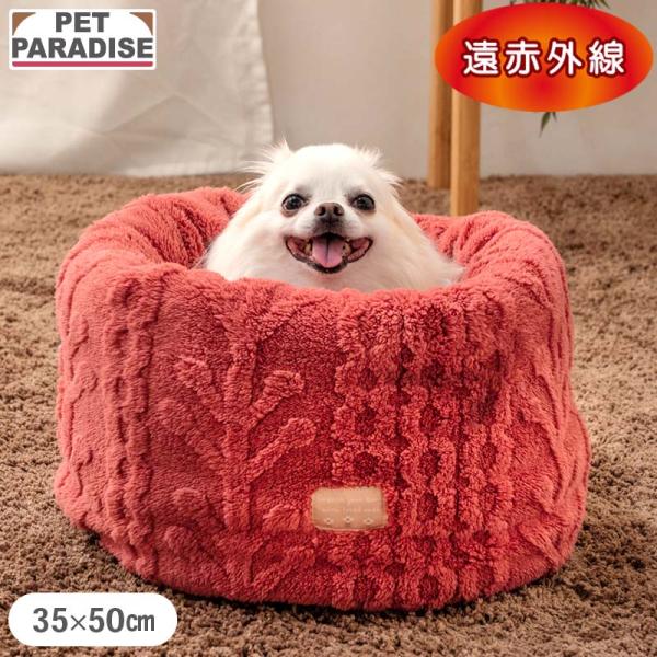 pet-para_633-41153