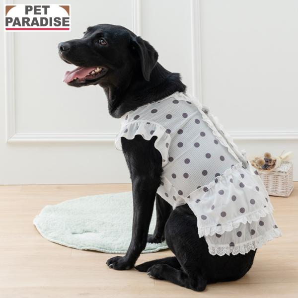 PET PARADISE（ペットパラダイス） 犬 服 秋 ドット柄 フリル