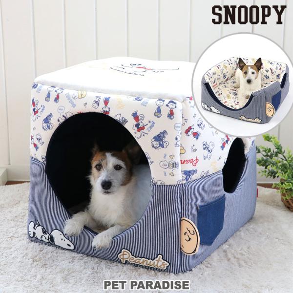 pet-para_63310949
