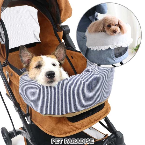 pet-para_63313423 pet-para_63313423