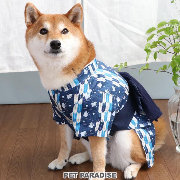 pet-para_63317452
