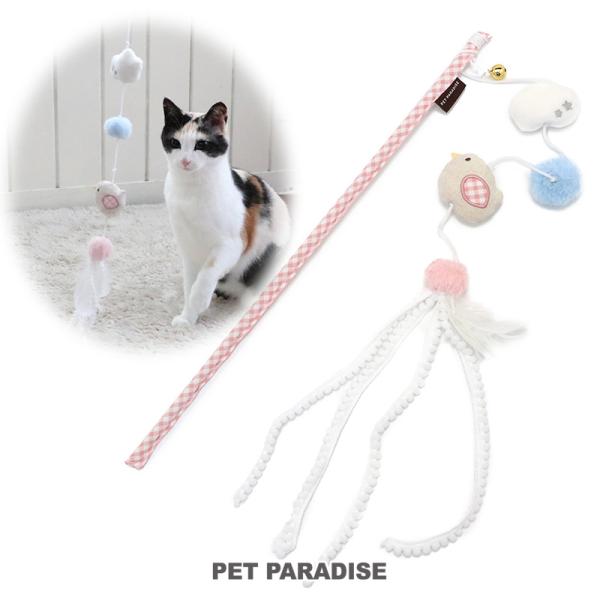 pet-para_63323560