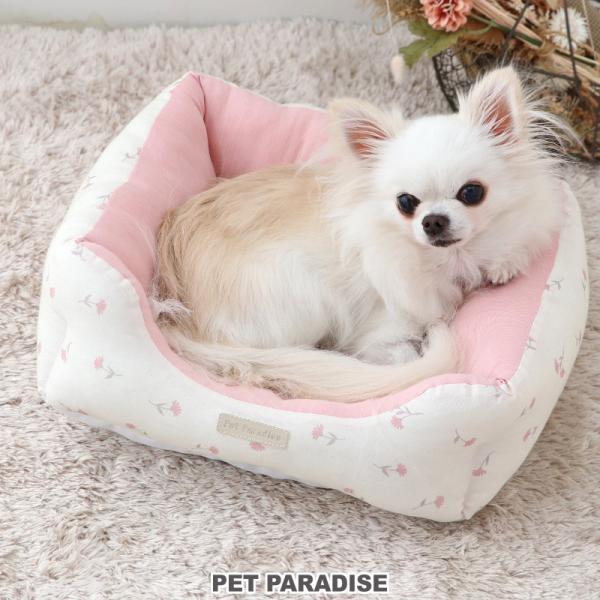 pet-para_63323689