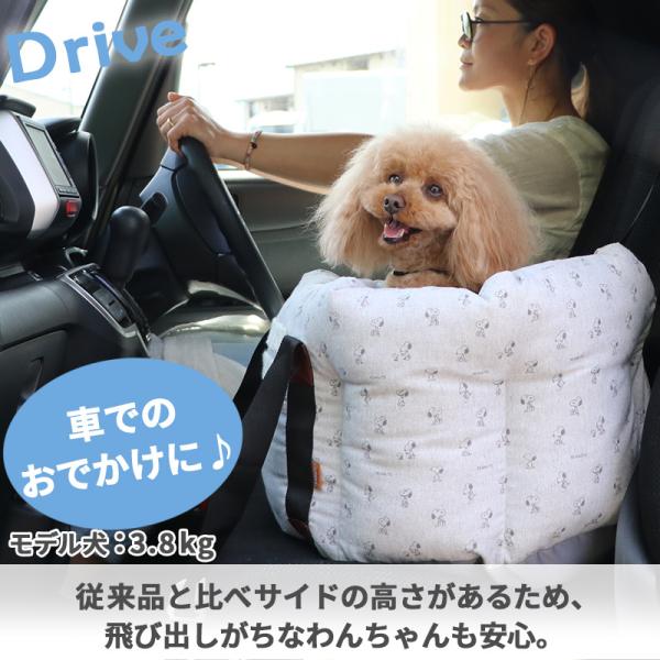 pet-para_63360339