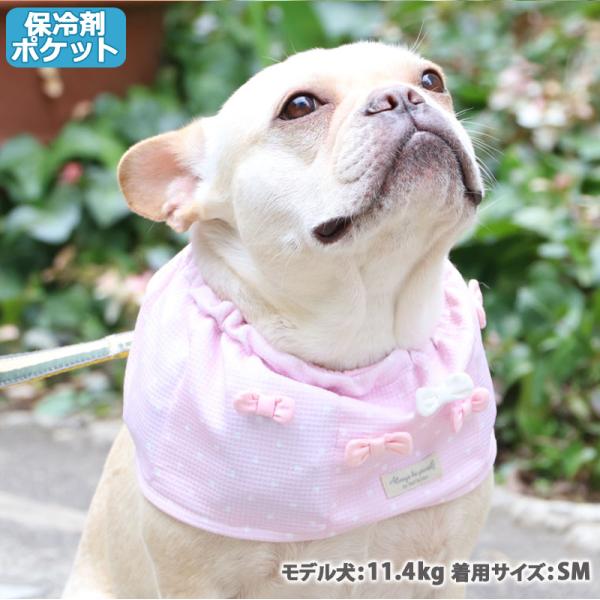 犬用ペット服 大型犬 スヌードの人気商品 通販 価格比較 価格 Com