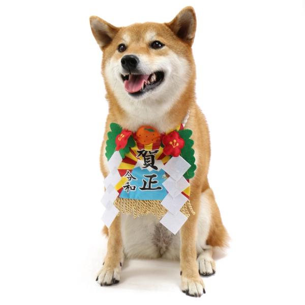 犬服 犬 服 セール ペットパラダイス しめ縄 令和 首飾り 中 大型犬 中型犬 大型犬 お正月 新年 子年 年賀状 初詣 年 Sns インスタ映え ペットパラダイス 通販 Paypayモール