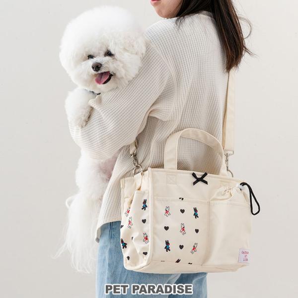 pet-para_752-28232