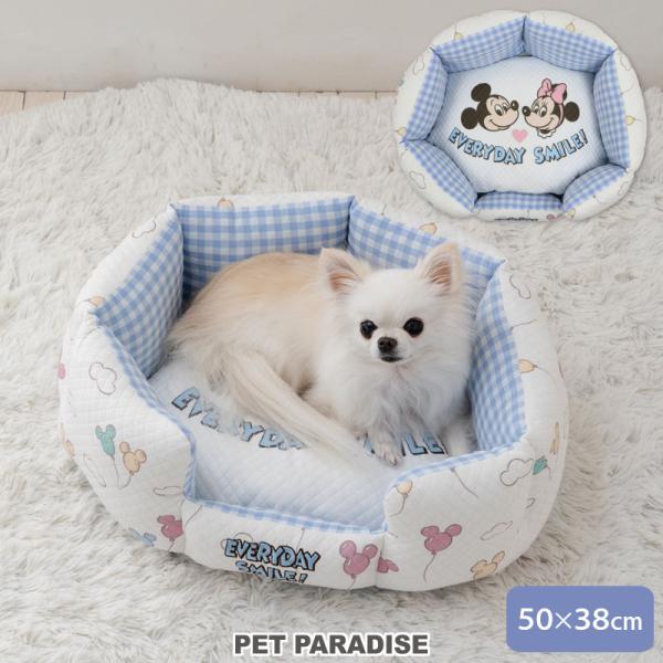 pet-para_758-34134