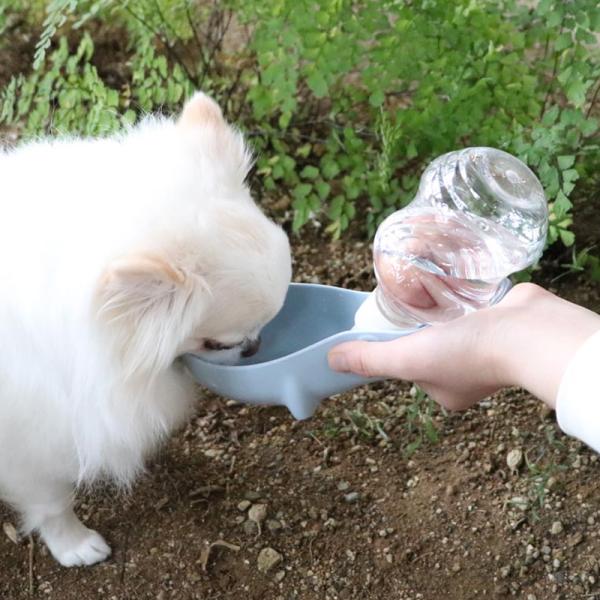  L {g gу{g ⋋ o| U g ybgObY ybgpi | 󂯎Mt gѐ̂݃{g  250ml