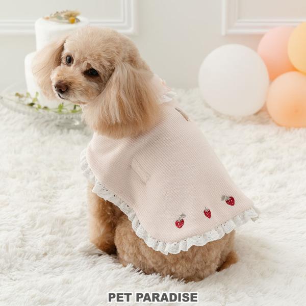 PET PARADISE（ペットパラダイス） 犬 服 春 苺 お手軽 ポンチョ
