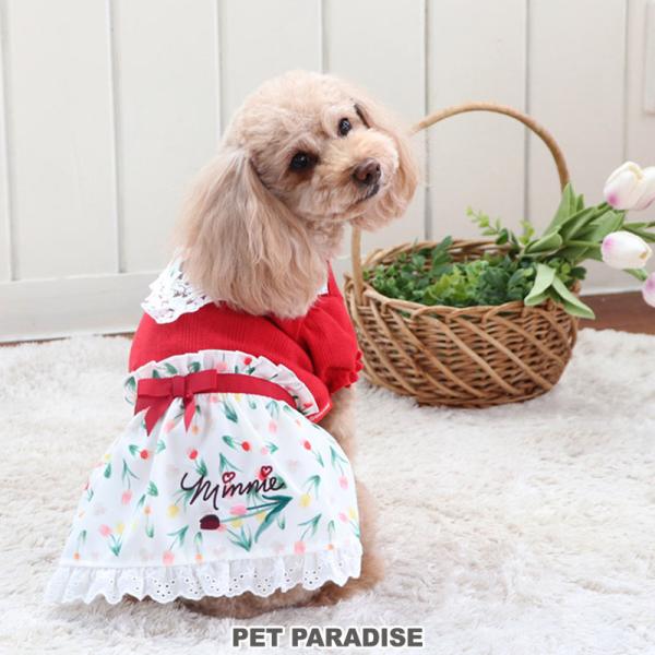 犬用品 ペット服 まとめ売り 6点 犬猫 ディズニー 小型犬 猫