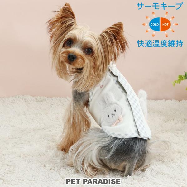 pet-para_91817415