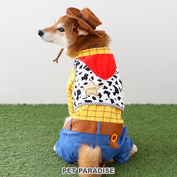 pet-para_91822461