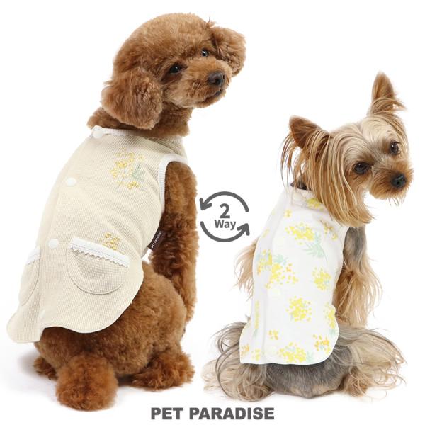 pet-para_91823674