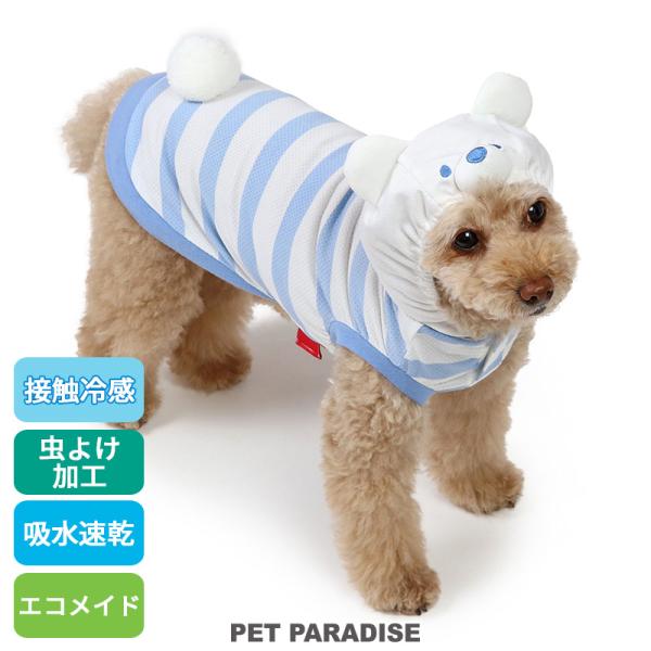 pet-para_91823820