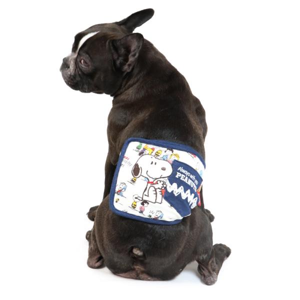 大型 犬 服 かわいいの人気商品 通販 価格比較 価格 Com