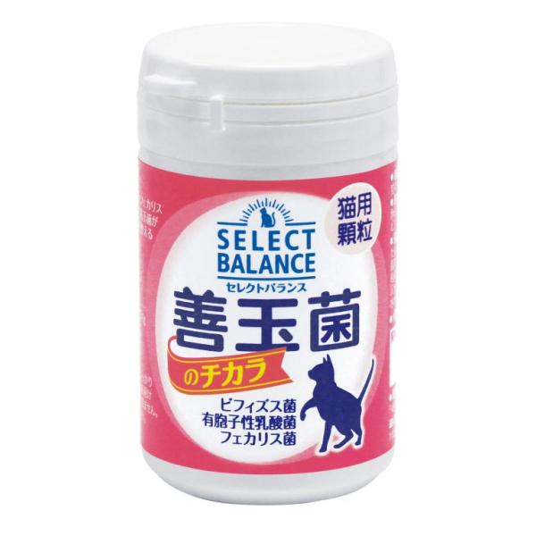 ◎乳酸菌ゴールドから善玉菌のチカラにパッケージがリニューアルしました！顆粒状なので、ミルクに溶かしたり、フードに混ぜたりして食べさせやすい。母乳に含まれるラクトフェリンを配合し、乳酸菌、ビール酵母の働きと共に仔猫の健康に役立ちます。ラクトフ...